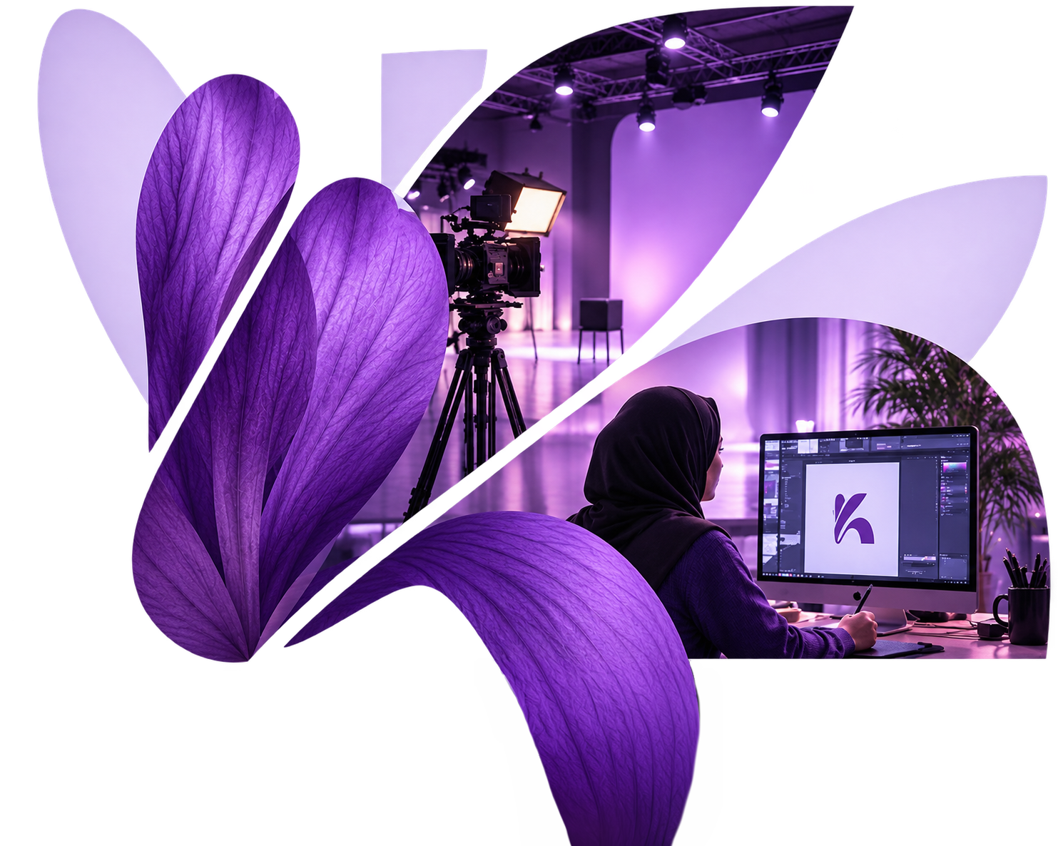 Sculptural purple petals, the Kataleya brand motif